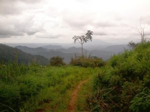 Al via il Progetto “Enter” in Camerun