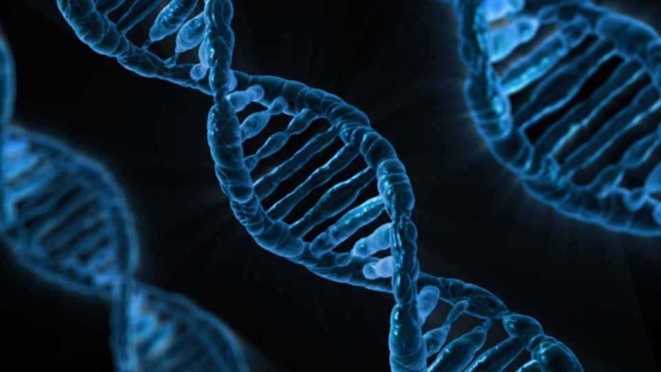 Nasce un network di ricercatori italiani per diventare sempre più protagonisti a livello internazionale.