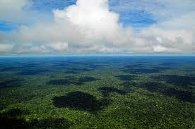 C. Grandi, A. Otaviano, “Amazzonia, peste & Covid: riflessioni tra due sponde”