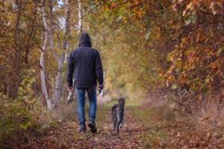 V. Vespri, “Sogno di una passeggiata di Fase 2”