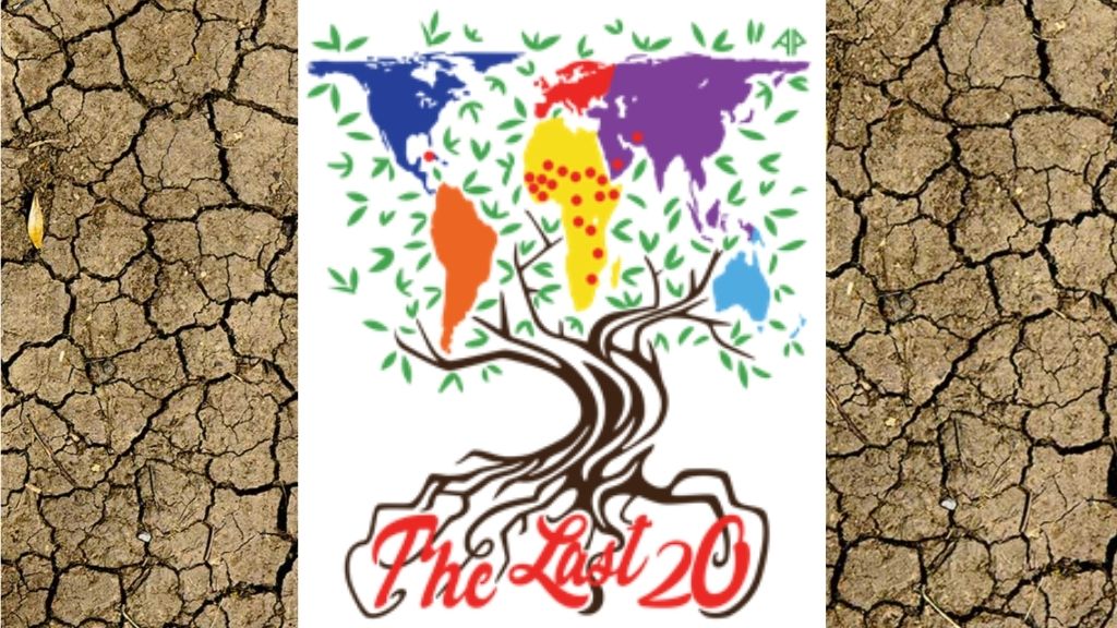 Presentazioni del convegno “The Last Twenty”, Roma 10-12 settembre 2021